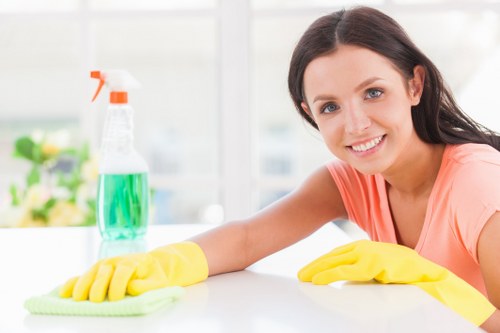 Professional rug cleaning service for homes and businesses in KT2