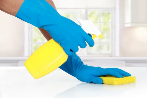 Professional carpet cleaning in KT2 removing deep dirt and stains