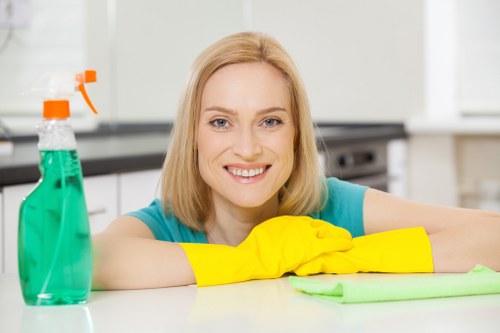 Kitchen and bathroom domestic cleaning service for a property in KT2