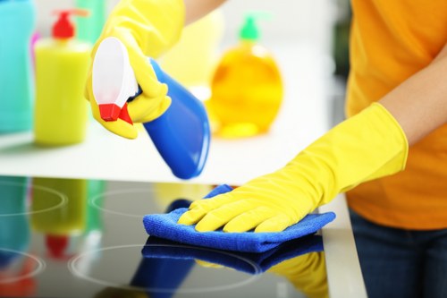 Cleaner inspecting a carpet before treatment