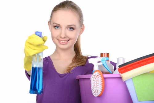 Professional window cleaning tools used for a KT2 property