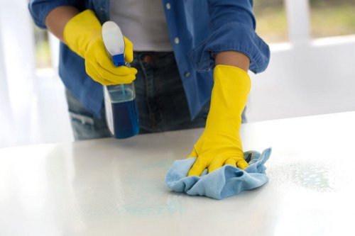 Expert carpet cleaning process for homes and businesses in KT2